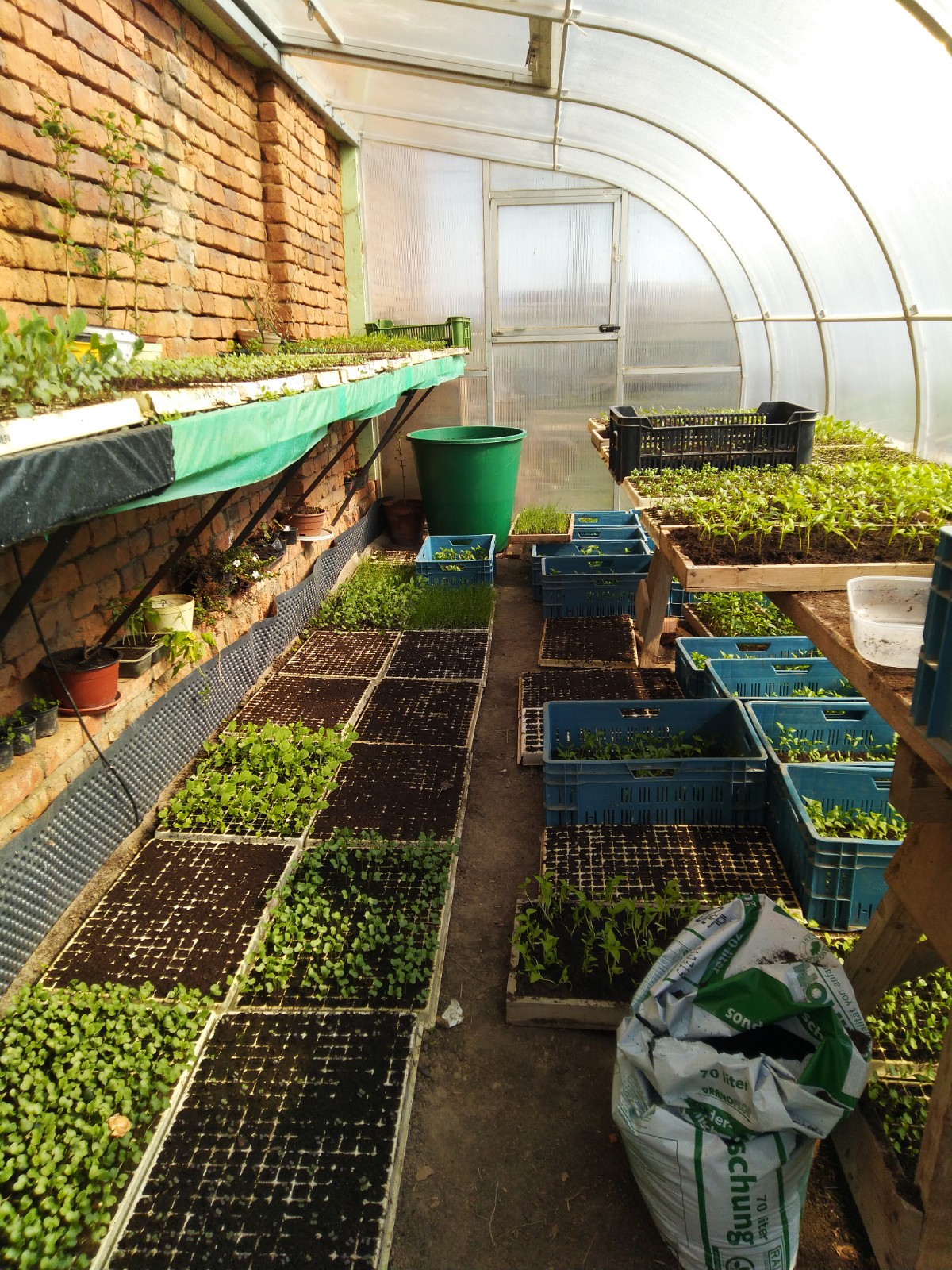 7 Ways Electroculture Gardening Supercharges Your Harvest In 2026 Without A Single Drop Of Chemicals